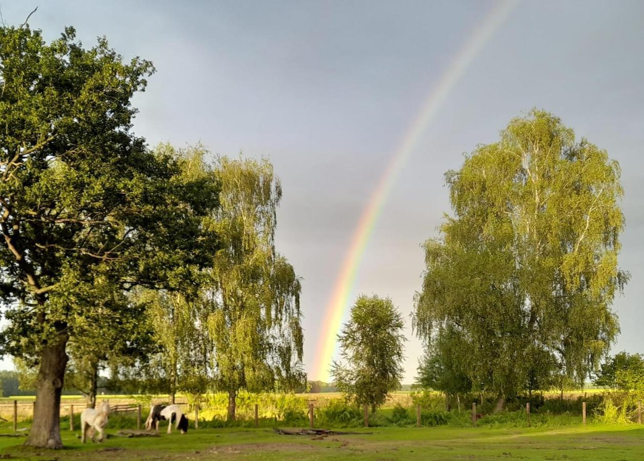 Ferienwohnung Auf Bauernhof In Alleinlage Naturerlebnis Kattenstiegs-Muhle 外观 照片